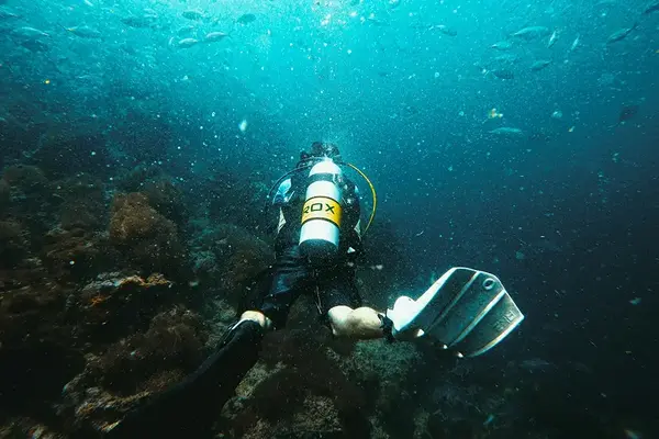 Achat montre occasion plongee militaire 4