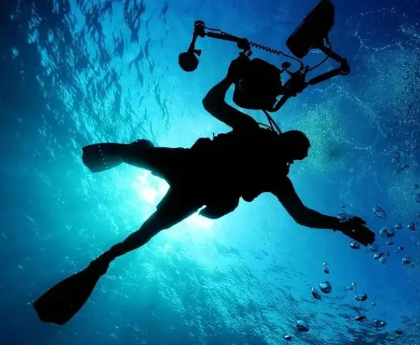 Logo montre plongee 0