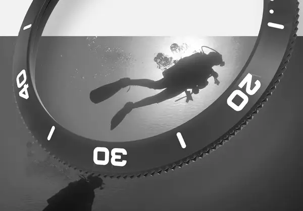 Montre Forces Speciale Micromilspec Combat Diver 10