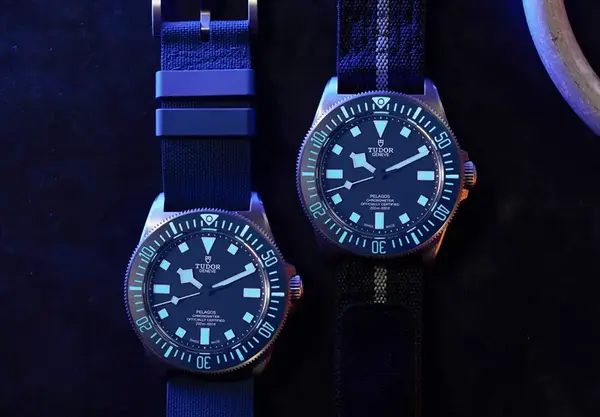 Montre Forces Speciales Tudor Pelagos FXD 25