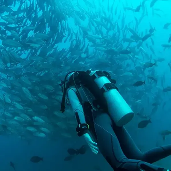 Montre plongee Longines Hydroconquest GMT 3