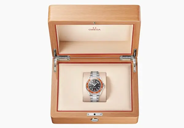 Montre plongee Omega Seamaster Planet Ocean 18