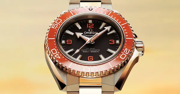 Montre plongee Omega Seamaster Planet Ocean 600 M 0