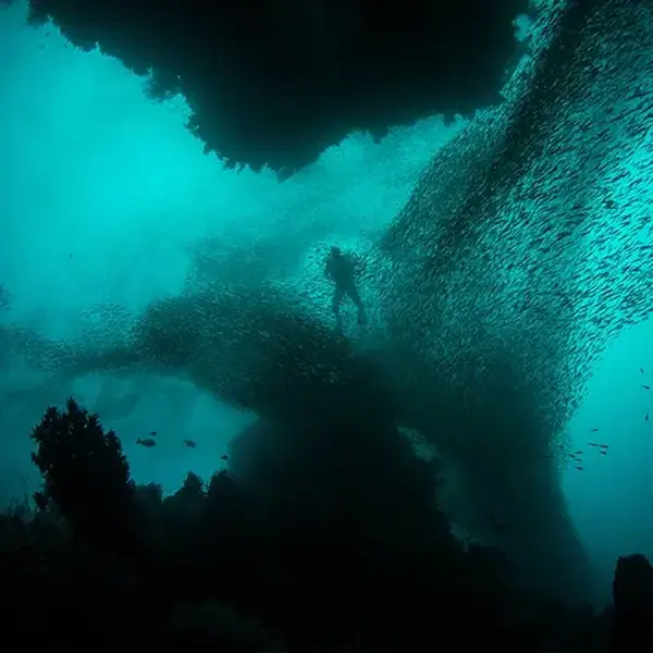 Montre plongee Picobello Verde 4