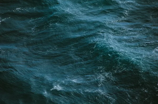 Plongeuse Rotate North Atlantic 2