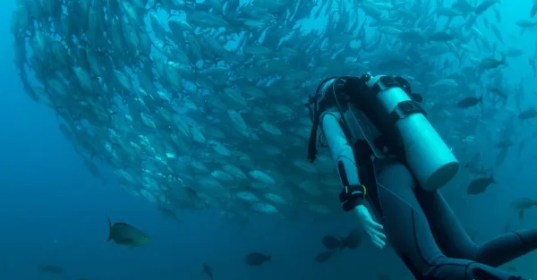 Video Electra Dare Devi Diver 0