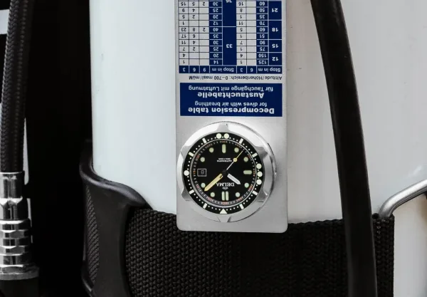 Montre plongee delma quattro 32