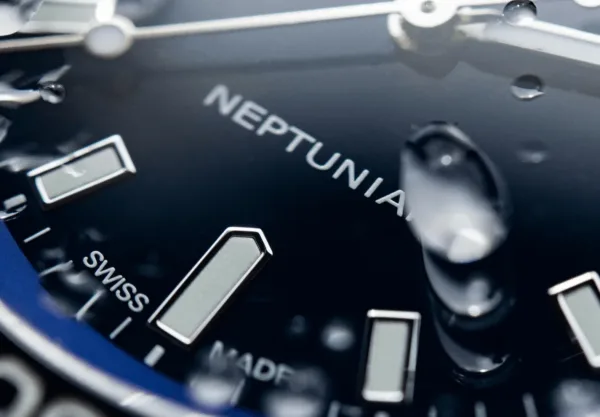 Montre plongee edox neptunian automatic 21