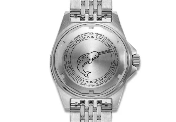 Montre plongee wolbrook skindiver ii professional 33
