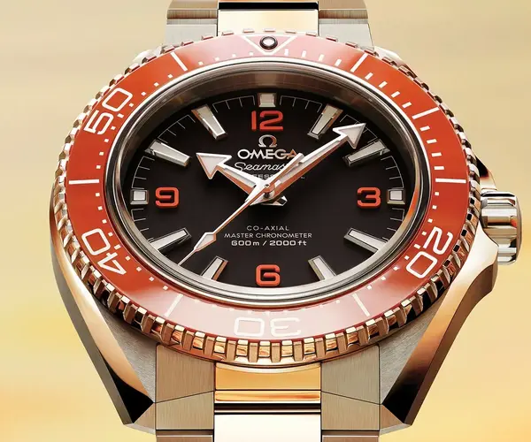 Montre plongee Omega Seamaster Planet Ocean 600 M 0