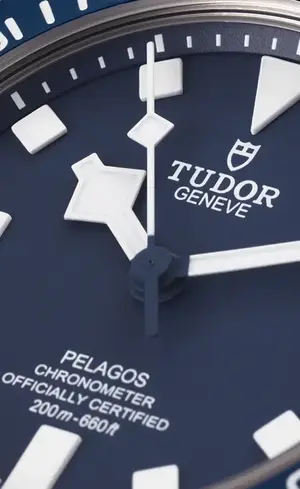 Montre Forces Speciales Tudor Pelagos FXD 3